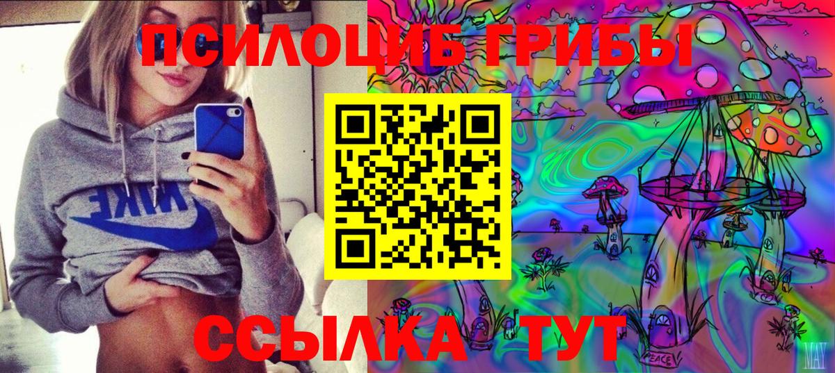 Галлюциногенные грибы Psilocybe Нижний Новгород