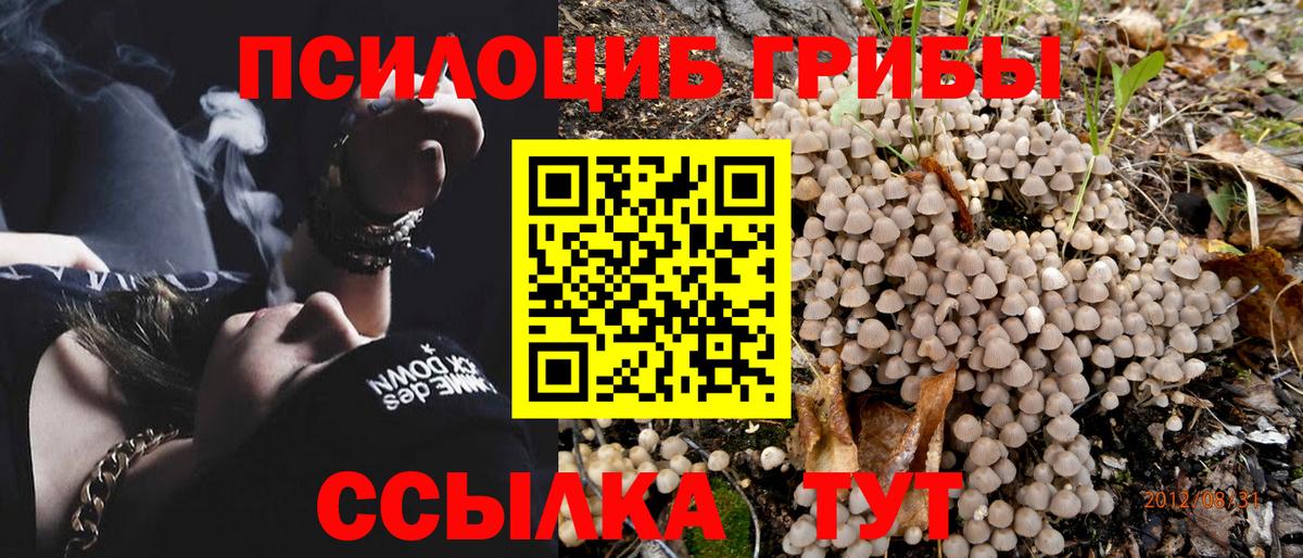 Галлюциногенные грибы GOLDEN TEACHER  Псилоцибиновые грибы мицелий  Нижний Новгород  Вход с VPN 